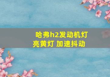 哈弗h2发动机灯亮黄灯 加速抖动